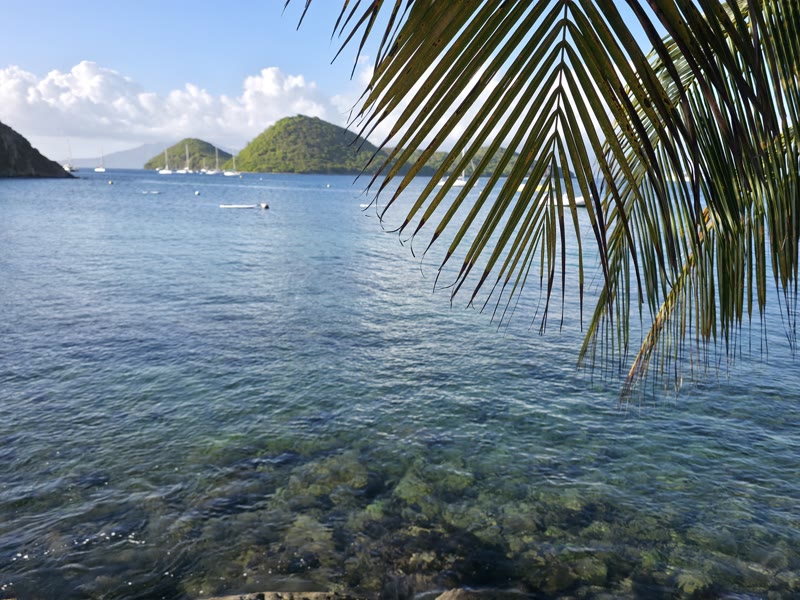 Anse Rodrigue - vue sur Terre-de-Bas