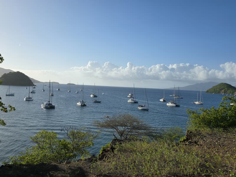 Maisons créoles du bourg de Terre-de-Haut