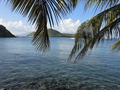 Vue panoramique de la baie encadrée par les palmiers