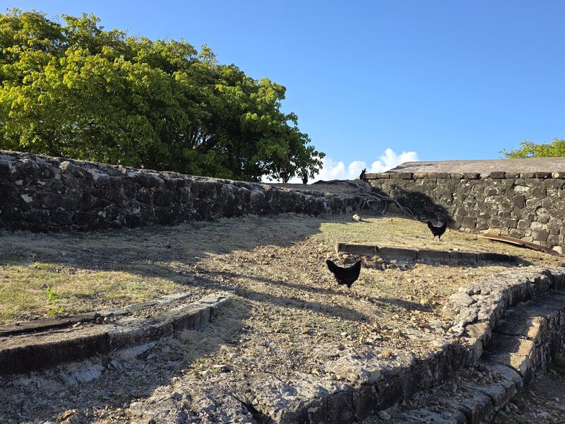 Fort Napoléon et ses jardins