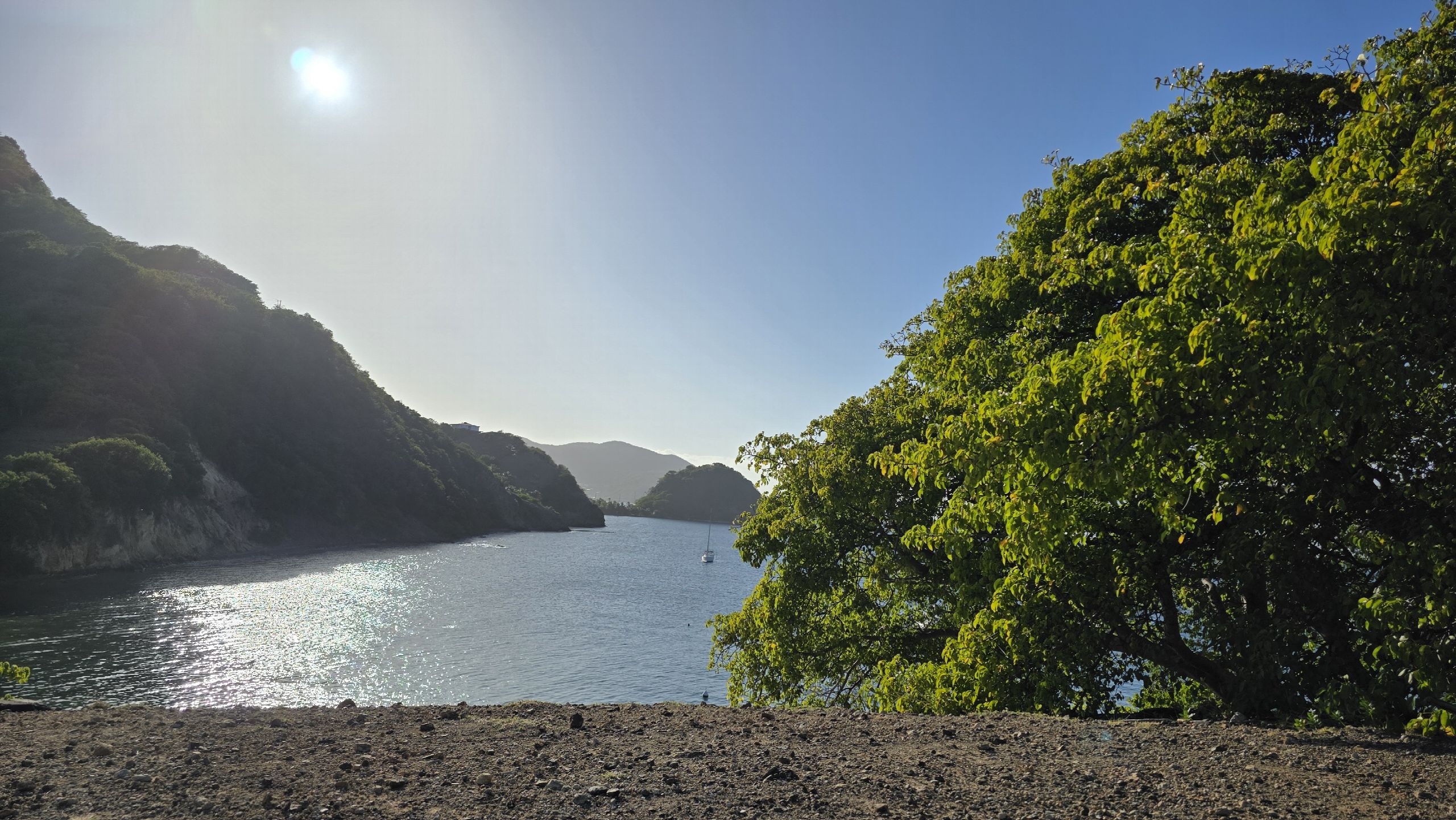 Anse abritée en contre-jour, soleil filtrant à travers la végétation