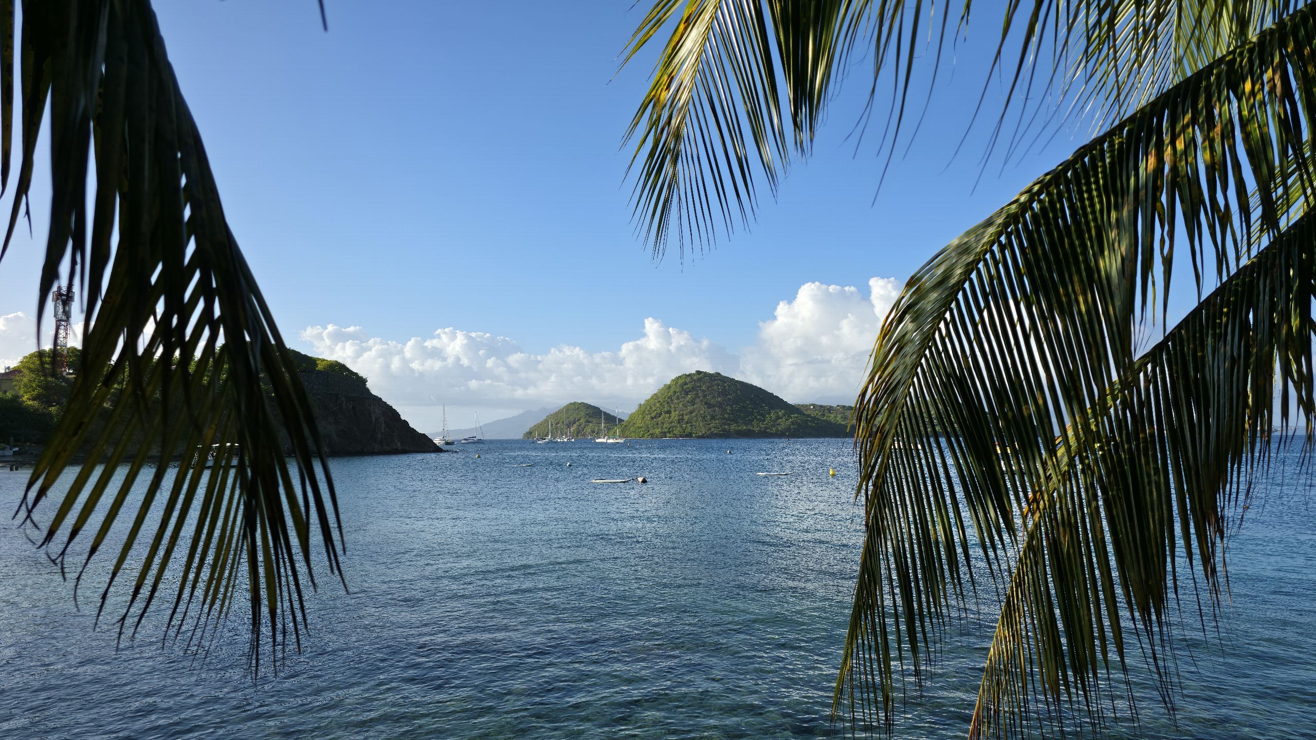 Palmes de cocotier encadrant la baie des Saintes et ses îlets, sous un ciel bleu