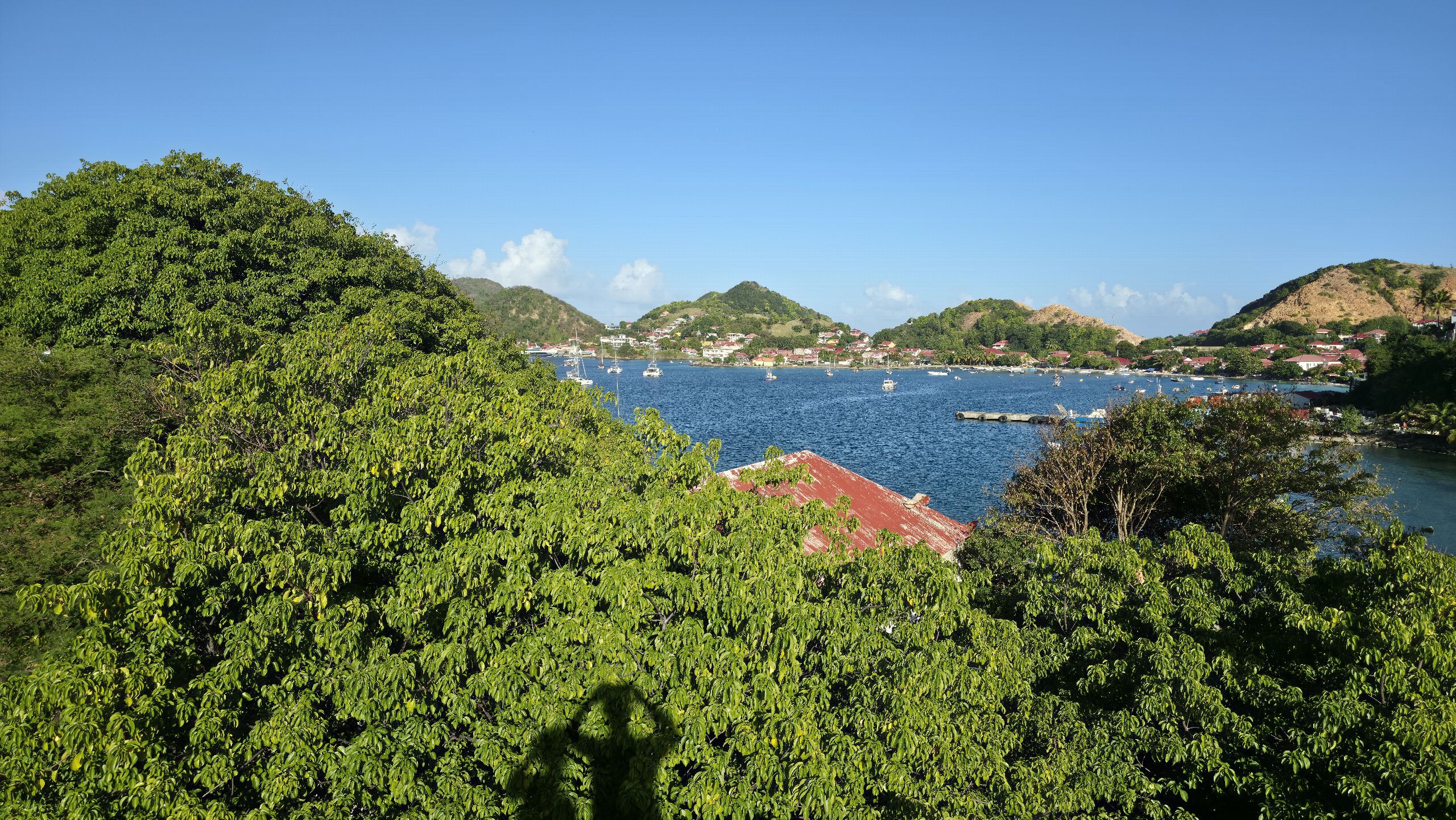 Végétation tropicale des hauteurs ouvrant sur la baie