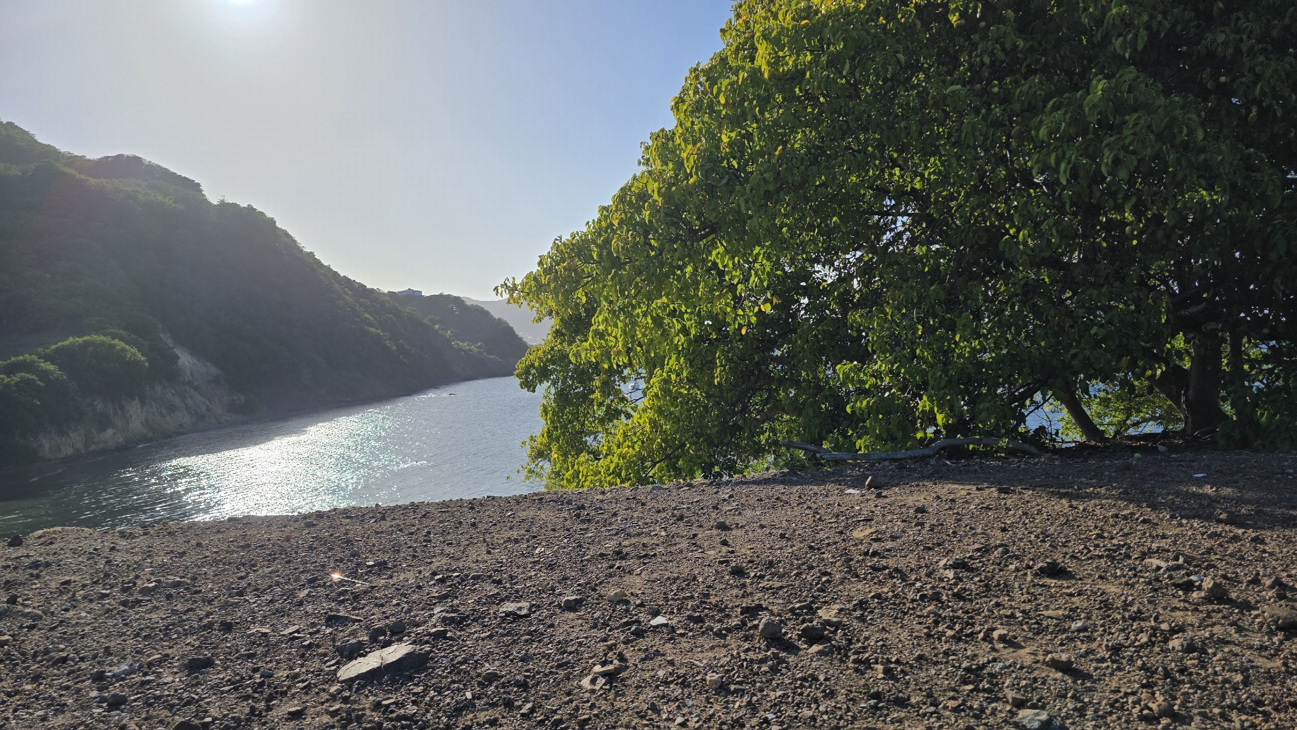 Plage de galets sombres et végétation littorale en contre-jour
